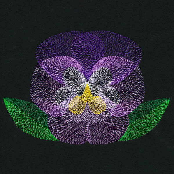 Blooming Garden Pansy - Image 6