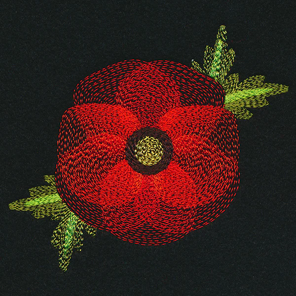 Blooming Garden Poppy - Image 4