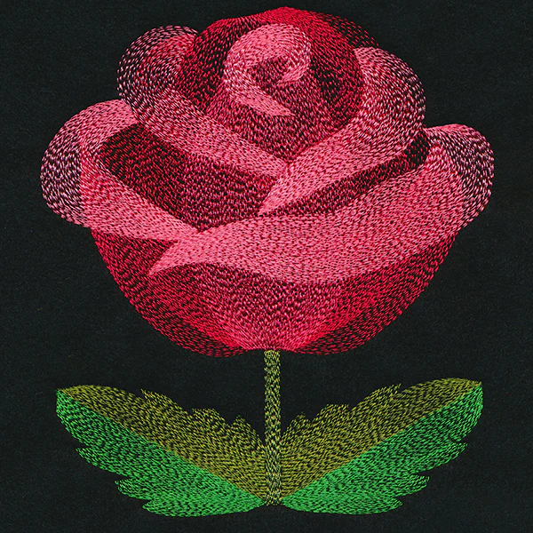 Blooming Garden Rose - Image 2