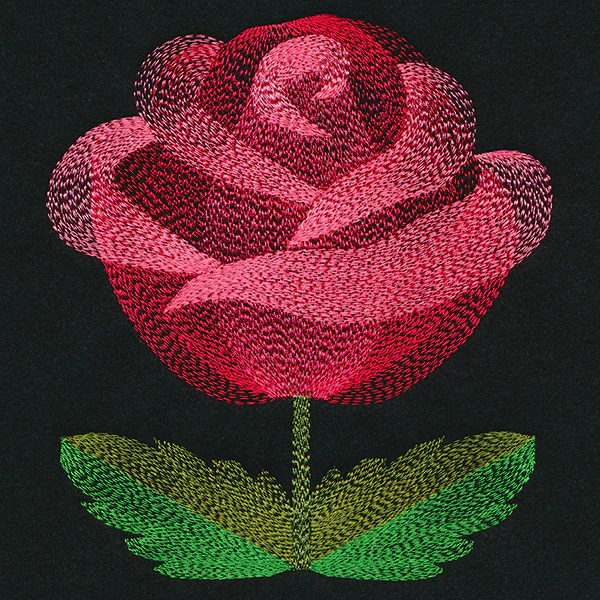 Blooming Garden Rose - Image 3