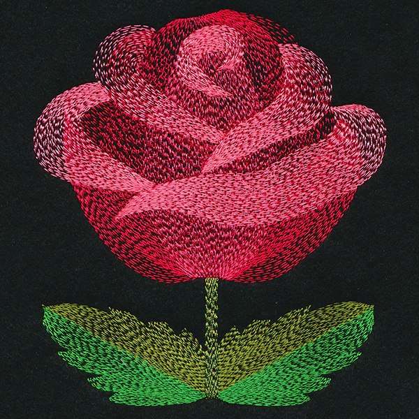 Blooming Garden Rose - Image 4