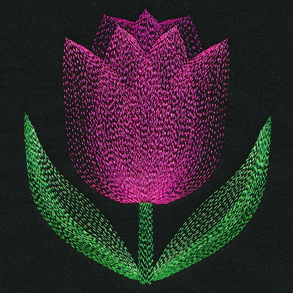 Blooming Garden Tulip - Image 4