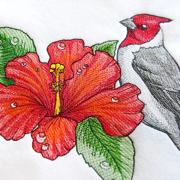 Blooming
Hibiscus and Red-crested Cardinal - Image 8