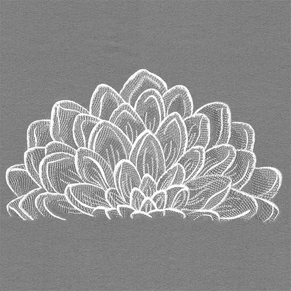 Blooming on the Edge Dahlia - Image 2