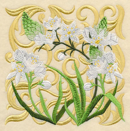 Blooming Star of Bethlehem Square - Image 3