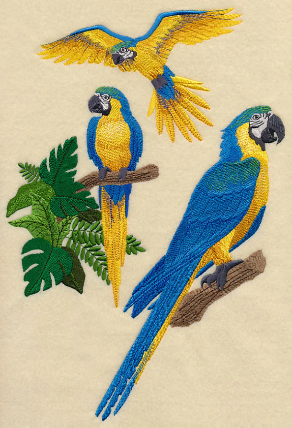 Blue-and-yellow Macaw Collage - Image 6