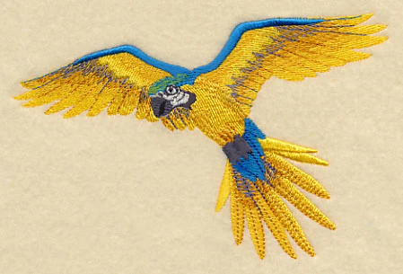 Blue-and-yellow Macaw in Flight - Image 2