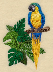 Blue-and-yellow Macaw in the Tropics - Image 2
