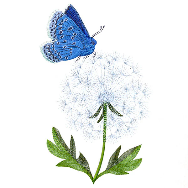 Blue Butterfly with Dandelion - Image 9