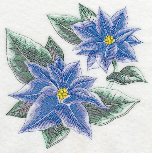 Blue Christmas Poinsettia Sketch - Image 2