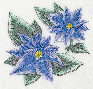 Blue Christmas Poinsettia Sketch - Image 4
