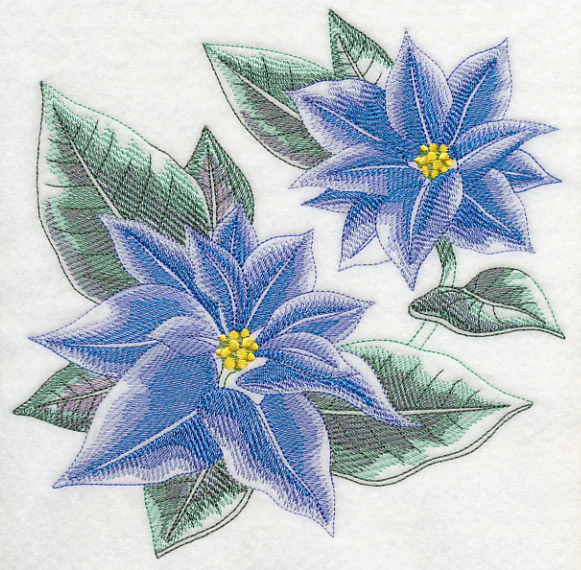 Blue Christmas Poinsettia Sketch - Image 6