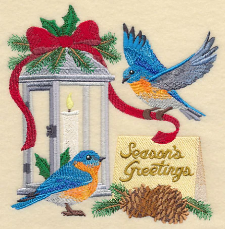 Bluebirds Give Season's Greetings - Image 4