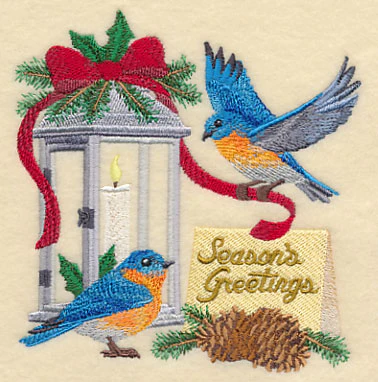 Bluebirds Give Season's Greetings - Image 6