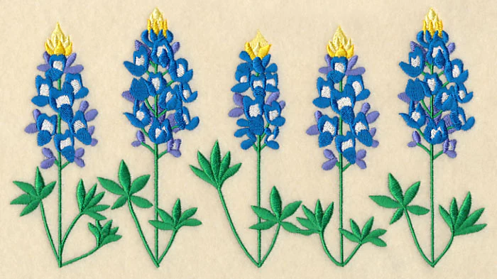 Bluebonnet Border - Image 2