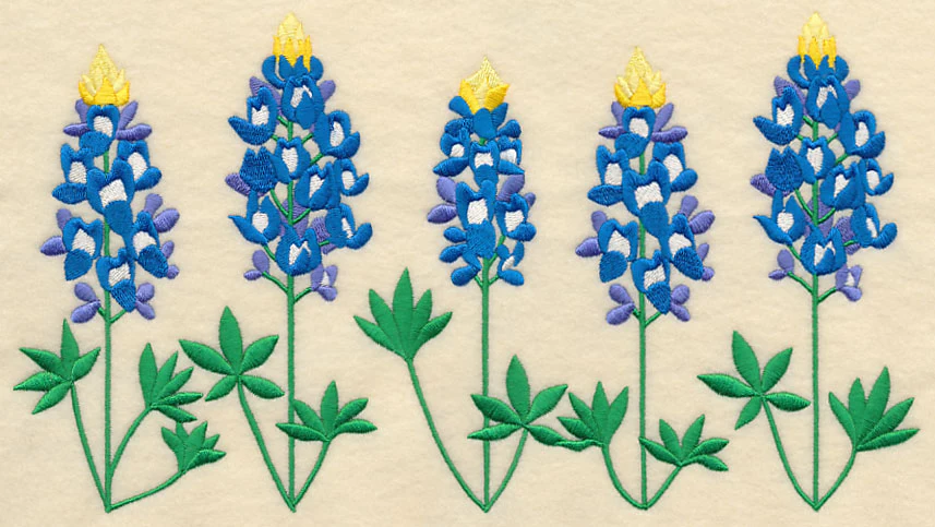 Bluebonnet Border - Image 5