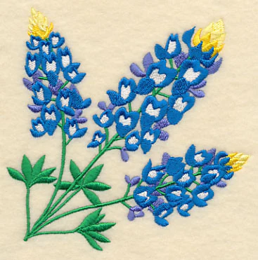 Bluebonnet Corner - Image 2