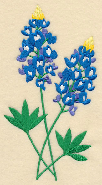Bluebonnet Pair - Image 3