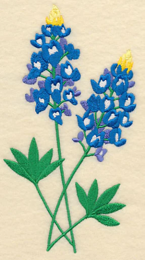 Bluebonnet Pair - Image 4