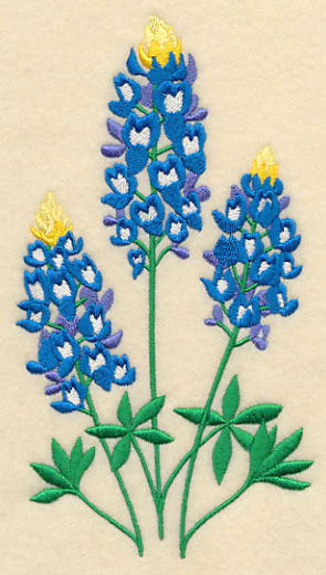 Bluebonnet Trio - Image 4