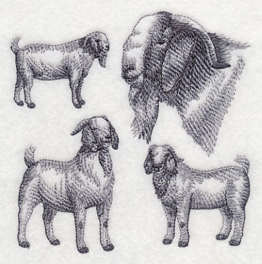 Boer Goat Sketch - Image 4