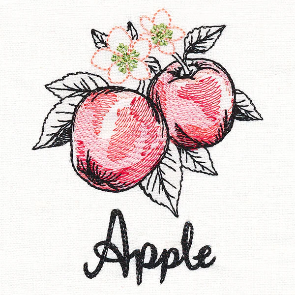 Botanical Fruits & Flowers - Apples - Image 2
