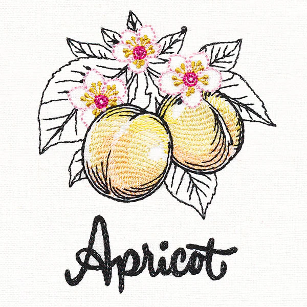 Botanical Fruits & Flowers - Apricots - Image 2