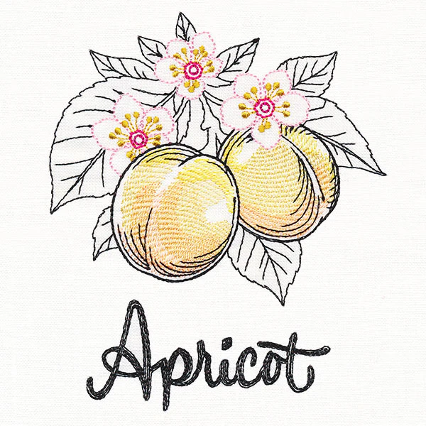 Botanical Fruits & Flowers - Apricots - Image 3