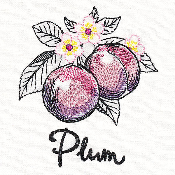 Botanical Fruits & Flowers - Plums - Image 2