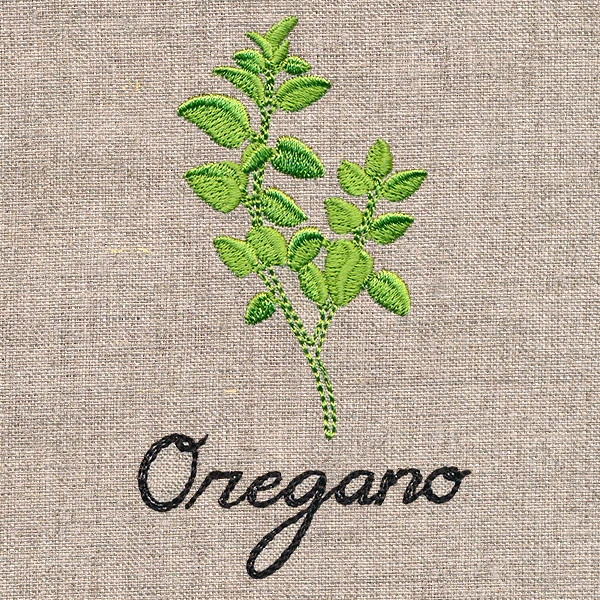 Botanical Herbs - Oregano - Image 5
