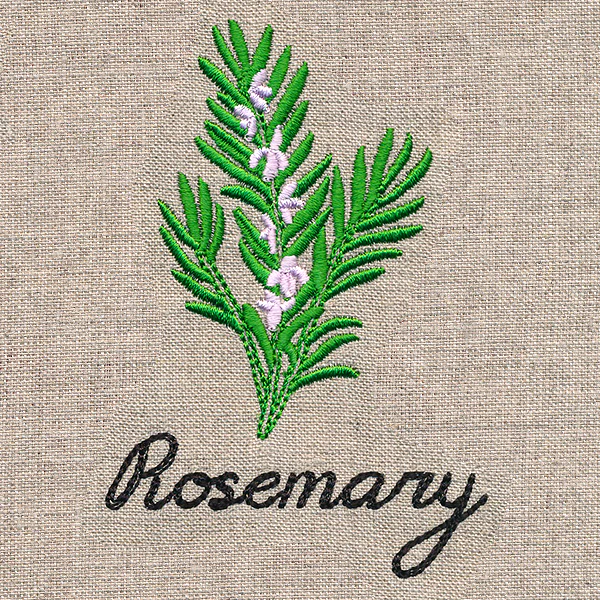 Botanical Herbs - Rosemary - Image 5