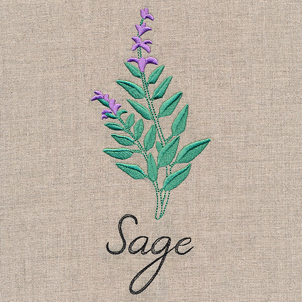 Botanical Herbs - Sage - Image 3