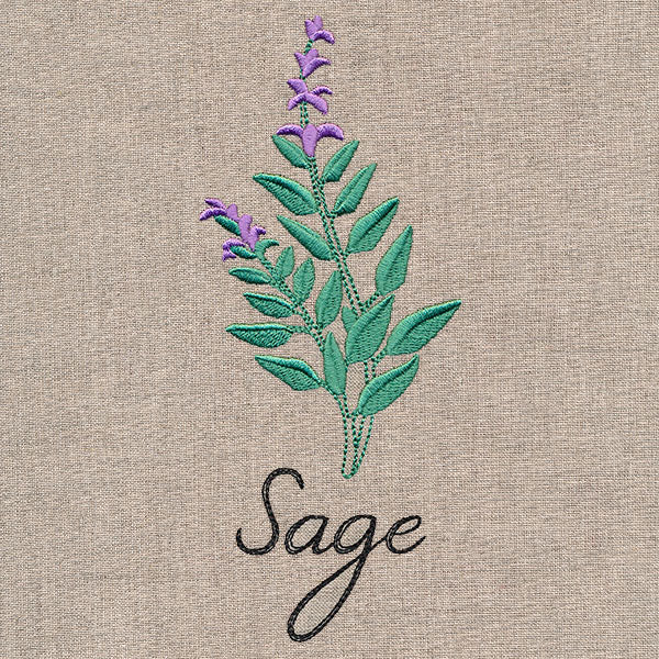 Botanical Herbs - Sage - Image 4