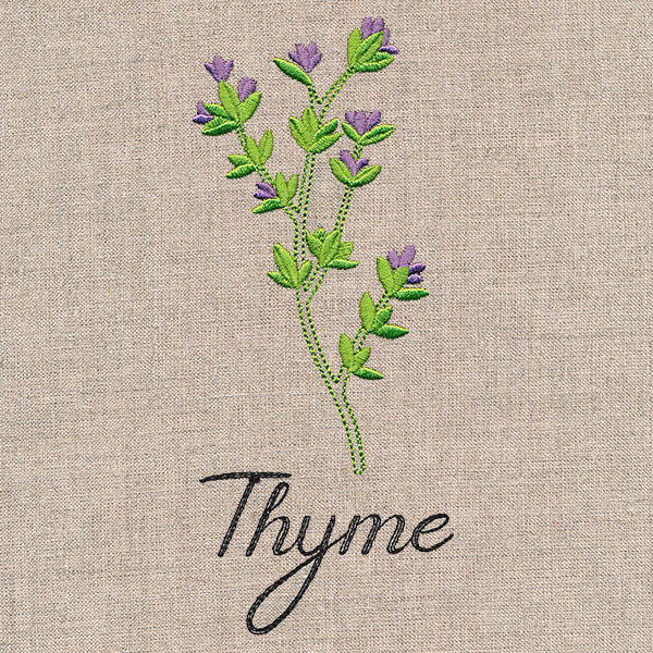 Botanical Herbs - Thyme - Image 4