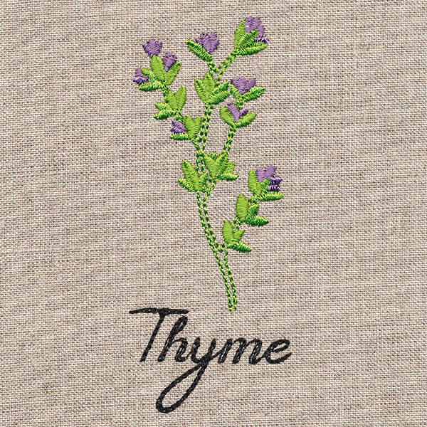 Botanical Herbs - Thyme - Image 5