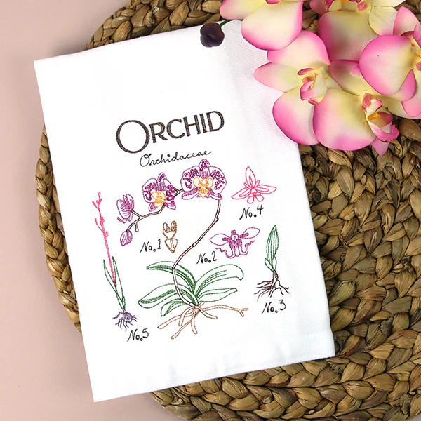 Botanical Illustrations - Orchid - Image 8