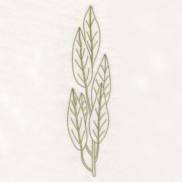 Botanical Treasures - Bay Leaves (Vintage) - Image 6