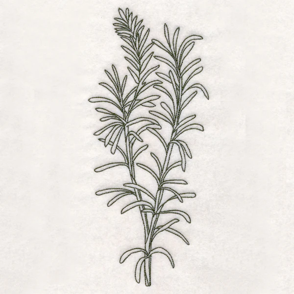 Botanical Treasures - Rosemary (Vintage) - Image 2