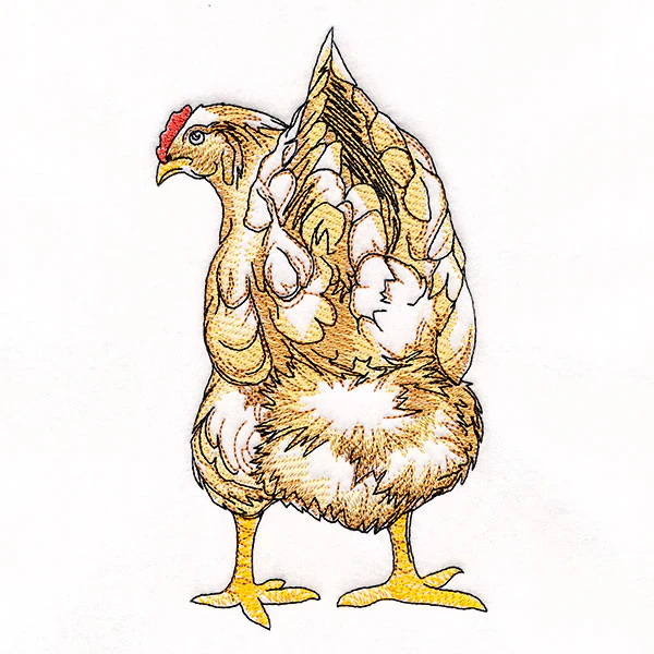 Bottoms Up Buddies - Chicken