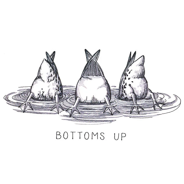 Bottoms Up Duck Butt Trio - Image 5