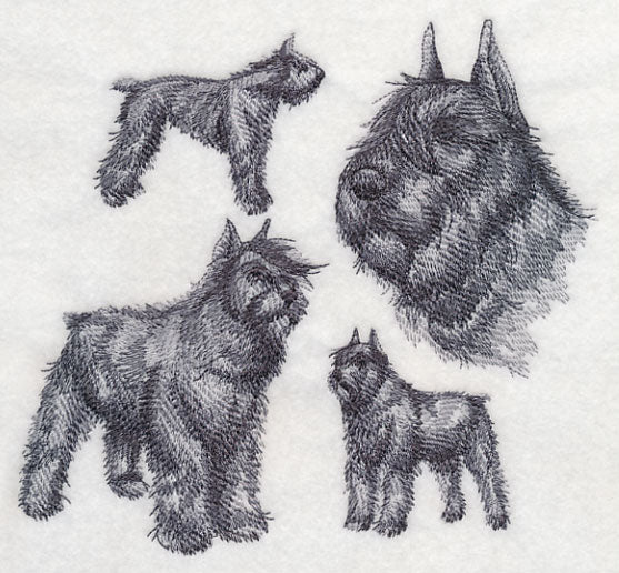Bouvier de Flanders Sketch (Docked Tail and Cropped Ears) - Image 2
