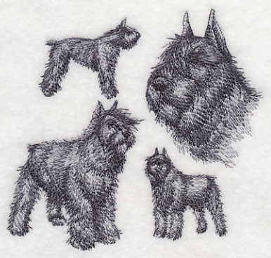 Bouvier de Flanders Sketch (Docked Tail and Cropped Ears) - Image 4