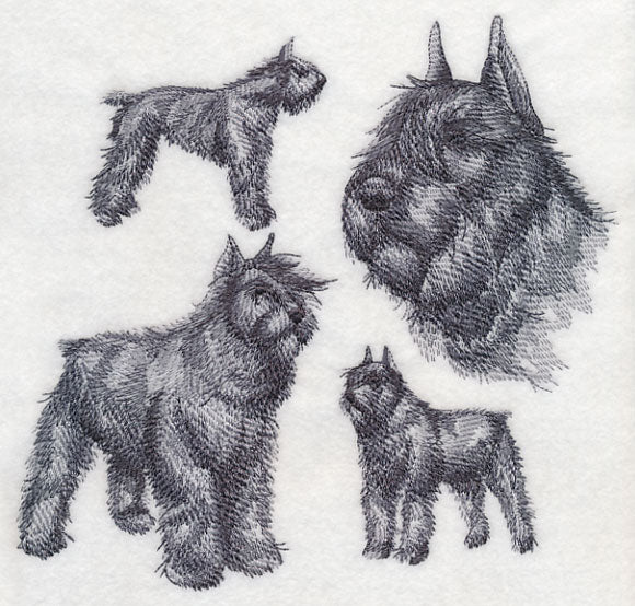 Bouvier de Flanders Sketch (Docked Tail and Cropped Ears) - Image 5