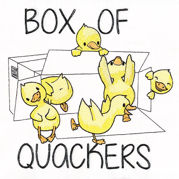 Box of Quackers - Image 5