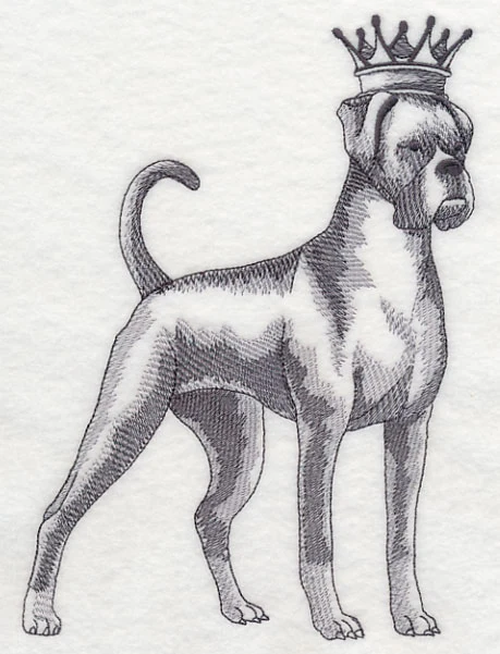 Boxer in Crown - Image 4