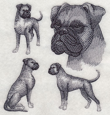 Boxer Sketch (Full Ears) - Image 3