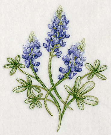 Breathtaking Bluebonnets 2 - Image 2