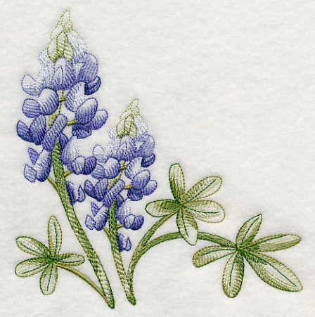 Breathtaking Bluebonnets Corner 1 - Image 4