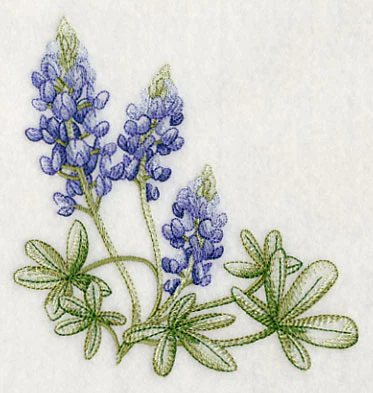 Breathtaking Bluebonnets Corner 2 - Image 2