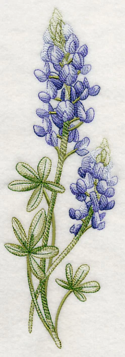 Breathtaking Bluebonnets Spray - Image 4